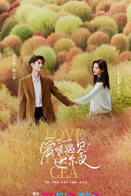 爱情的尸检报告2
